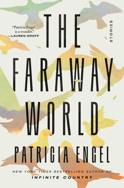 "The Faraway World" book cover
