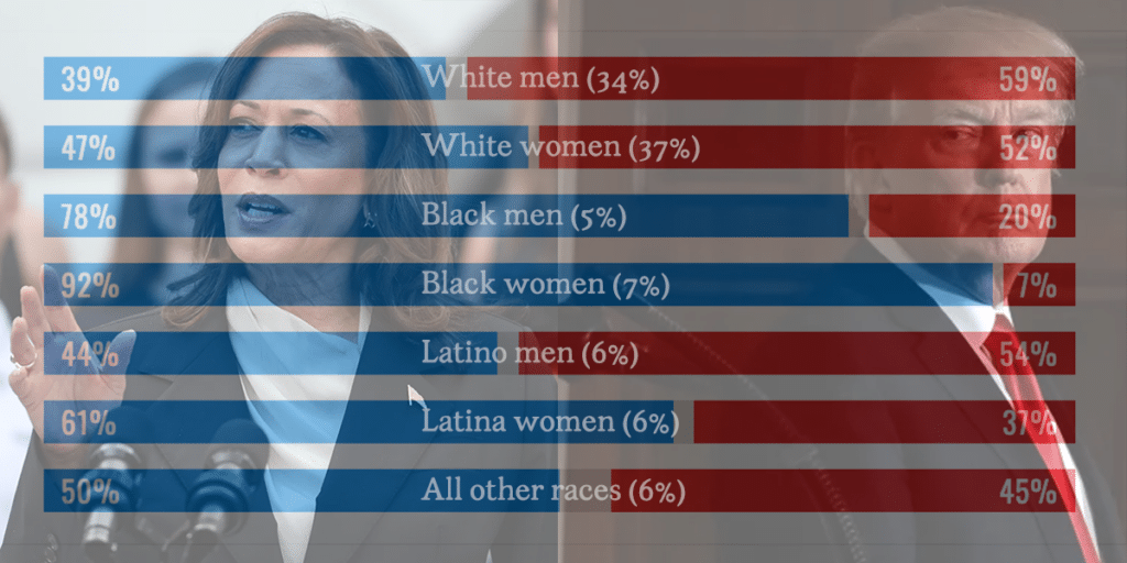 https://latinamedia.co/wp-content/uploads/2024/11/Election-by-Demographics-1024x512.png